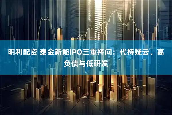 明利配资 泰金新能IPO三重拷问：代持疑云、高负债与低研发