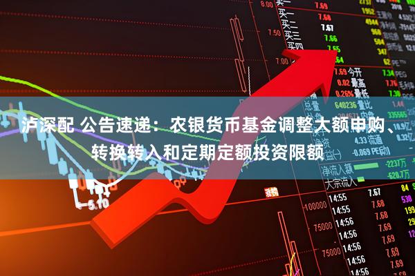 泸深配 公告速递：农银货币基金调整大额申购、转换转入和定期定额投资限额