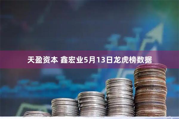 天盈资本 鑫宏业5月13日龙虎榜数据